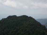 nte Rinatu-20110615 123